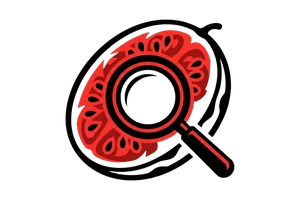 9.1网站 - 吃瓜社Logo
